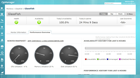 Application Performance Management